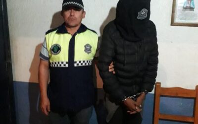 Delitos Rurales. Caso: Abigeato 167 División de Delitos Rurales y Ambientales Nº1 Este Burruyacú