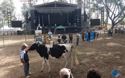 La SRT avanza con la Mesa de Lechería en la organización del primer remate por pantalla en la Expo Láctea