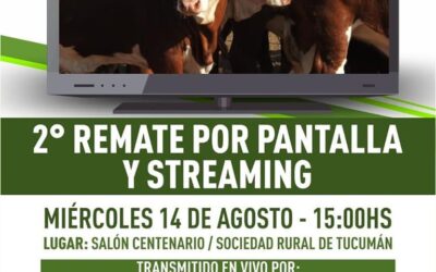 Llega el Segundo Remate por Pantalla y Streaming