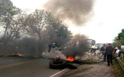 ¿Anarquía o incapacidad?