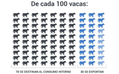 La SRT adhiere a la continuidad del cese de comercialización de carne
