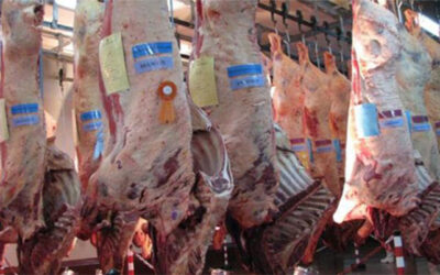 SRS y SRT: Nos mantenemos firmes en nuestro rechazo a las restricciones de exportación de carne