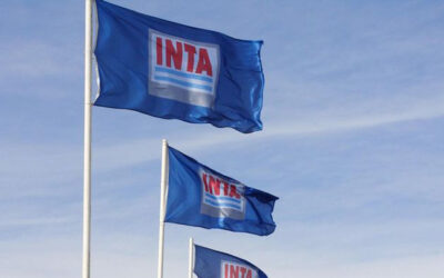 En búsqueda de explicaciones….