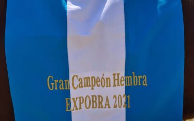 Cabaña La Asunción obtuvo el primer premio en la categoria hembra de Expo BRA en Santiago del Estero