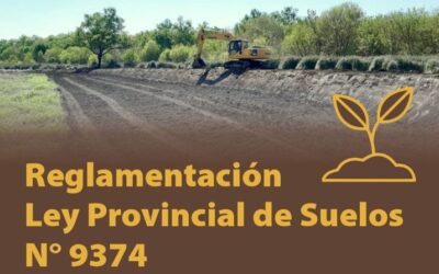 Sistematización de campos: una nueva normativa clave para la gestión del suelo.