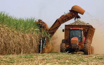 La Sociedad Rural de Tucumán se pronuncia sobre la propuesta de libre comercio del azúcar en el Mercosur