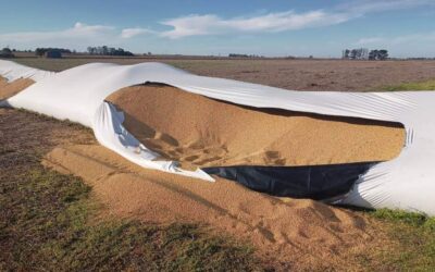 Comunicado de la Sociedad Rural de Tucumán por el incremento de los delitos rurales