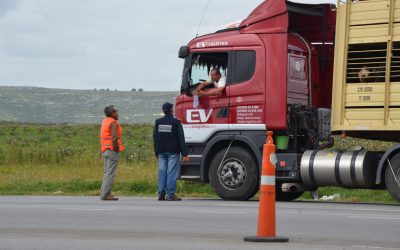 Avanzan las gestiones para digitalizar el transporte de hacienda en Tucumán